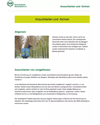 Anzuchtarten und -formen