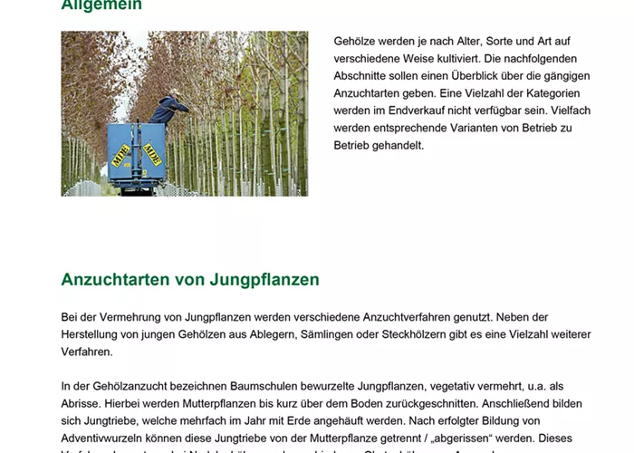 Anzuchtarten und -formen