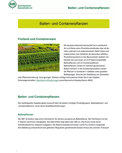 Ballen- und Containerpflanzen
