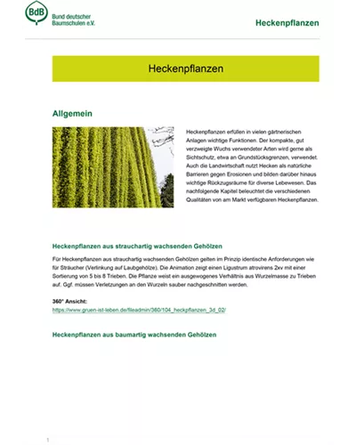 Heckenpflanzen
