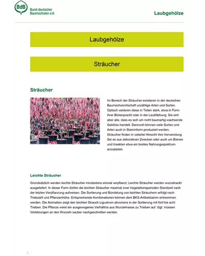 Laubgehölze
