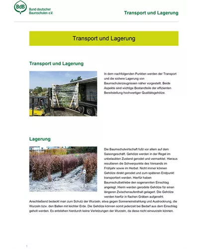 Transport und Lagerung