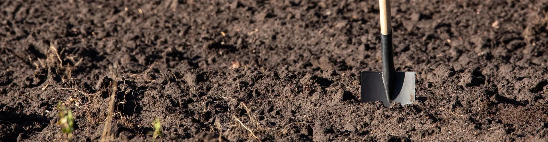 2023-11-7.7-41.GS657088-0-1193-6241-1337