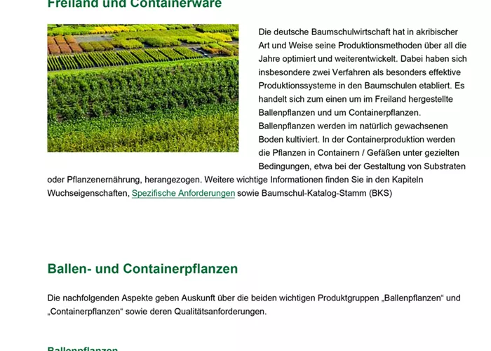 Ballen- und Containerpflanzen