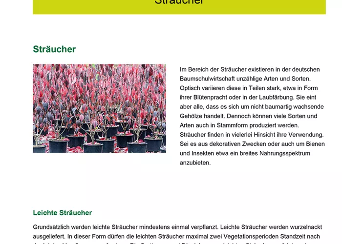 Laubgehölze