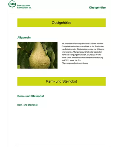 Obstgehölze