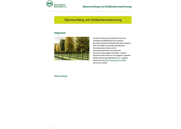 Stammumfang und Größenkennzeichnung
