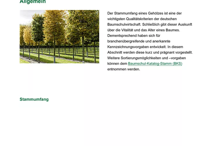 Stammumfang und Größenkennzeichnung