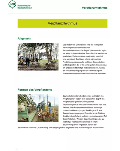 Verpflanzrhythmus