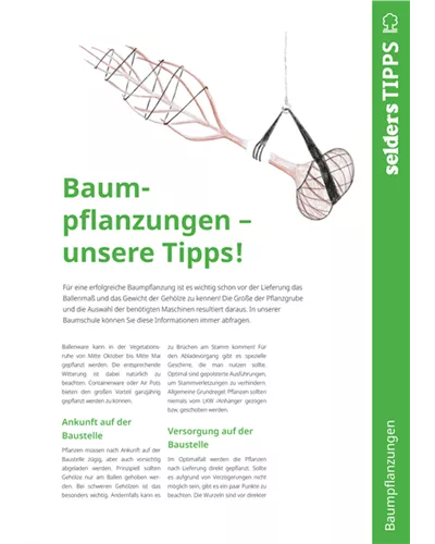 Selders Tipps
